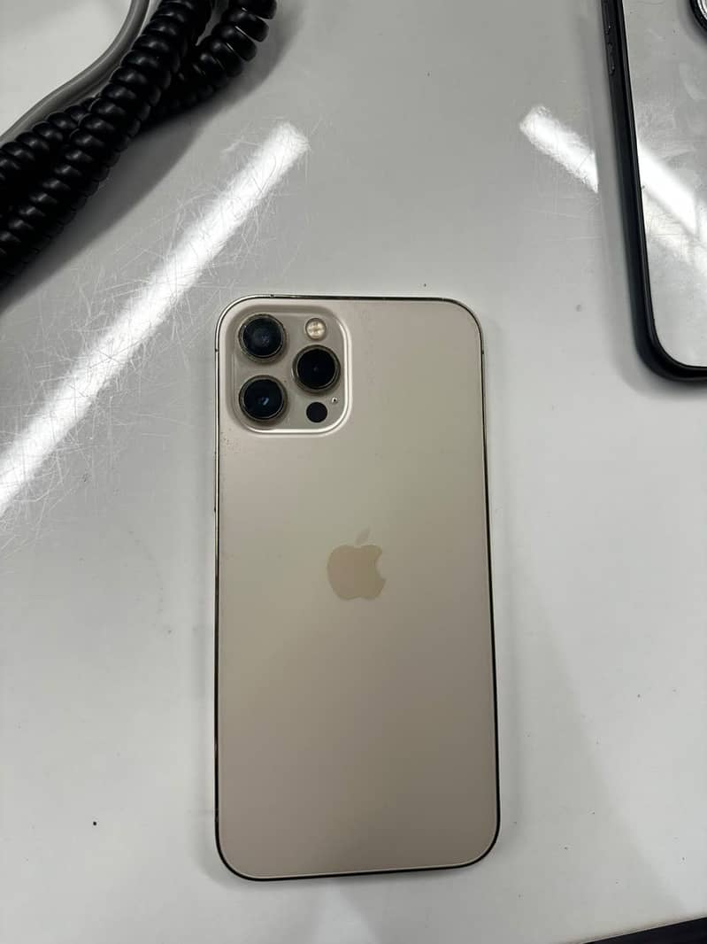 Apple iPhone 12 Pro Max 1