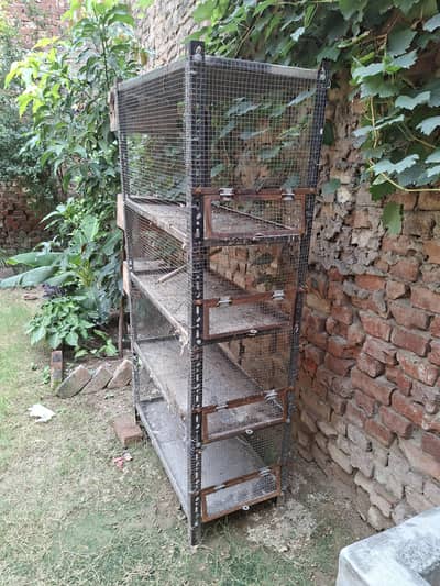 iron cage