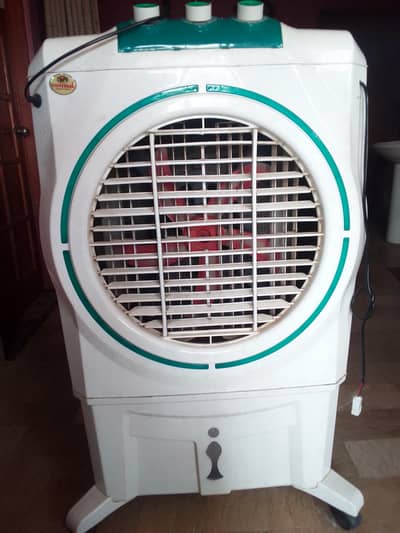Universal AC/DC Cooler for Sale