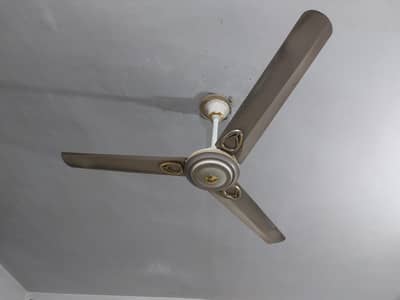 Wahid Ceiling Fan