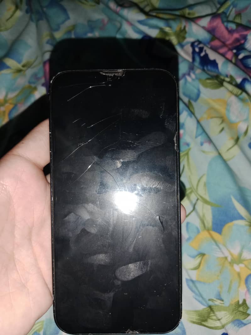 Apple iPhone 13 0