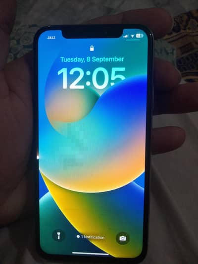 Apple iPhone X