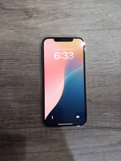 Apple iPhone 12 Pro Max