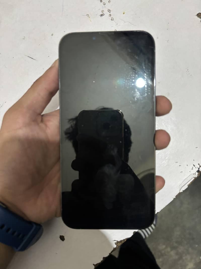 Apple iPhone 13 Pro Max 3