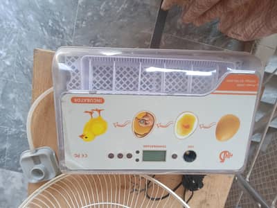 rolling eggs incubator for sale