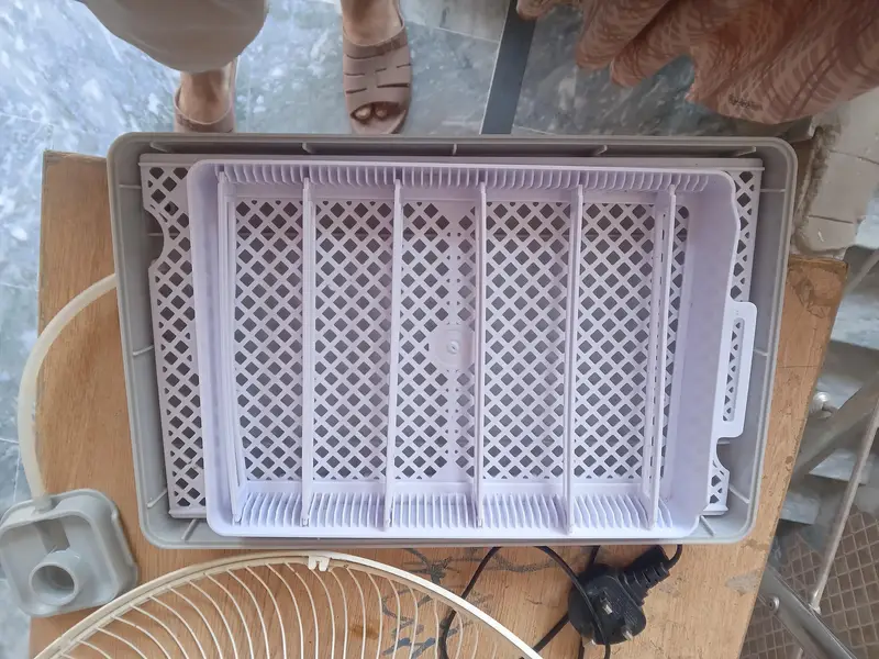 rolling eggs incubator for sale — photo 2