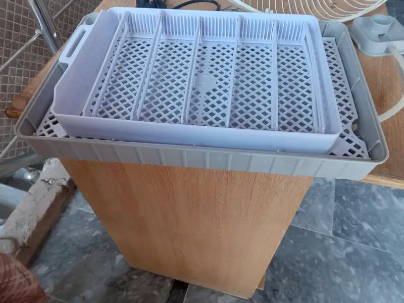 rolling eggs incubator for sale — photo 3