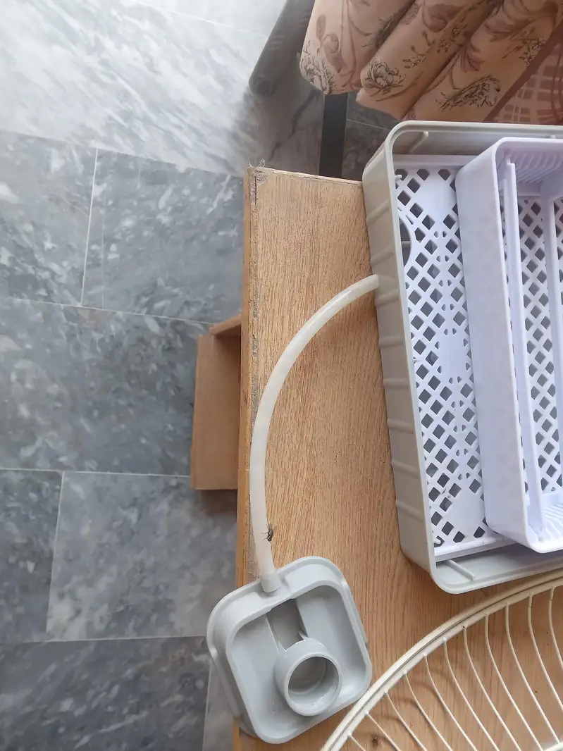 rolling eggs incubator for sale — photo 4