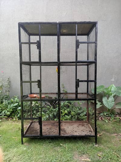 5 Portion Heavy Gage Metal Cage for sale.