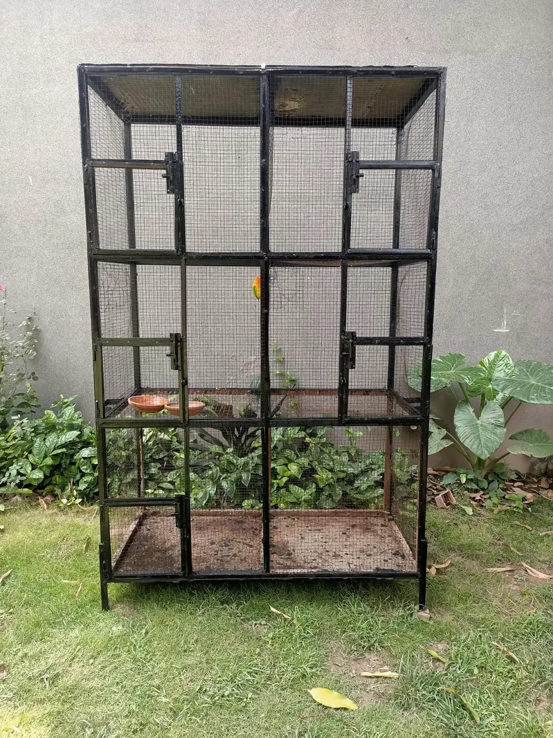 5 Portion Heavy Gage Metal Cage for sale. — photo 2