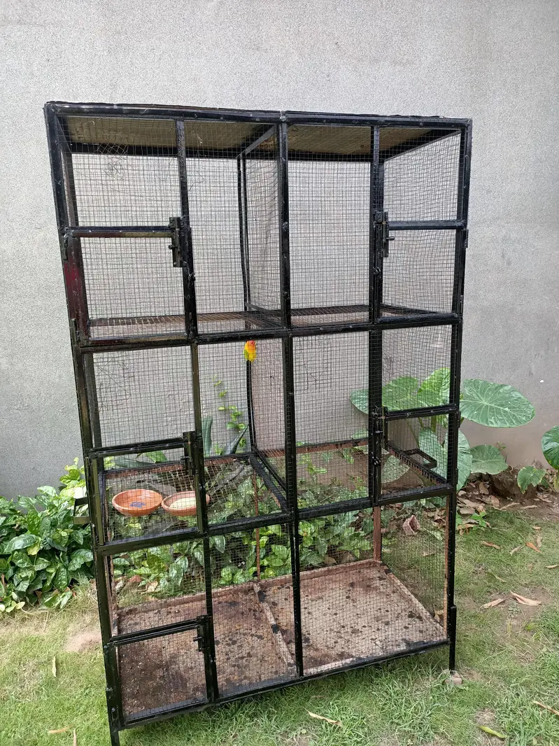 5 Portion Heavy Gage Metal Cage for sale. — photo 3