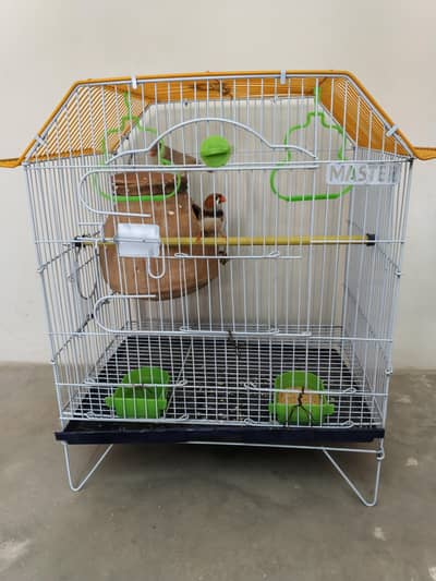 HAIF ORANGE FRINCHES AND CAGE