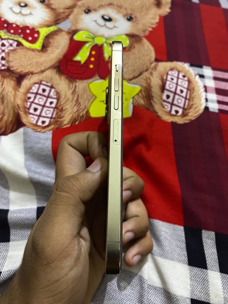 Apple iPhone 13 Pro Max 1