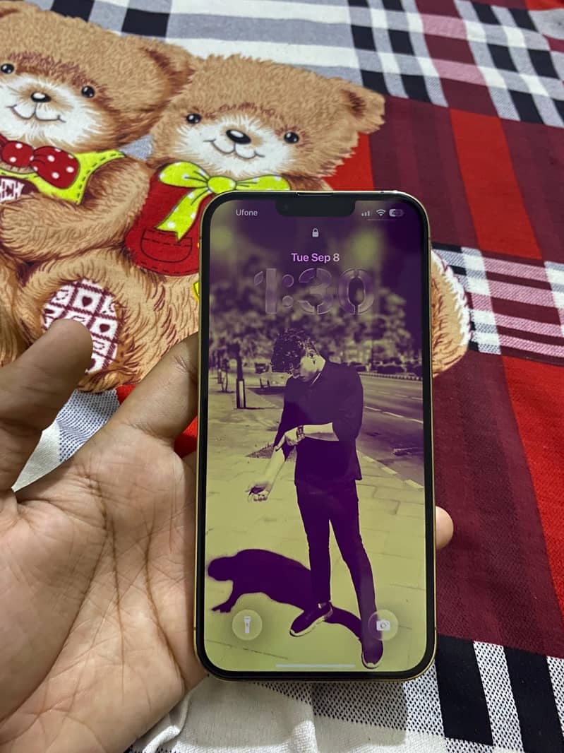 Apple iPhone 13 Pro Max 2