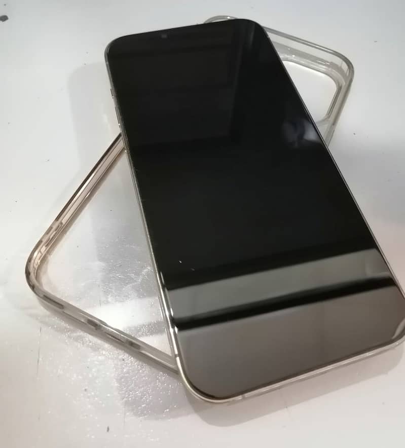 Apple iPhone 13 Pro Max 1