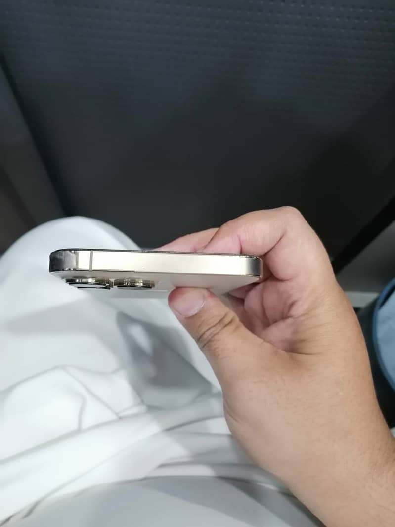 Apple iPhone 13 Pro Max 2
