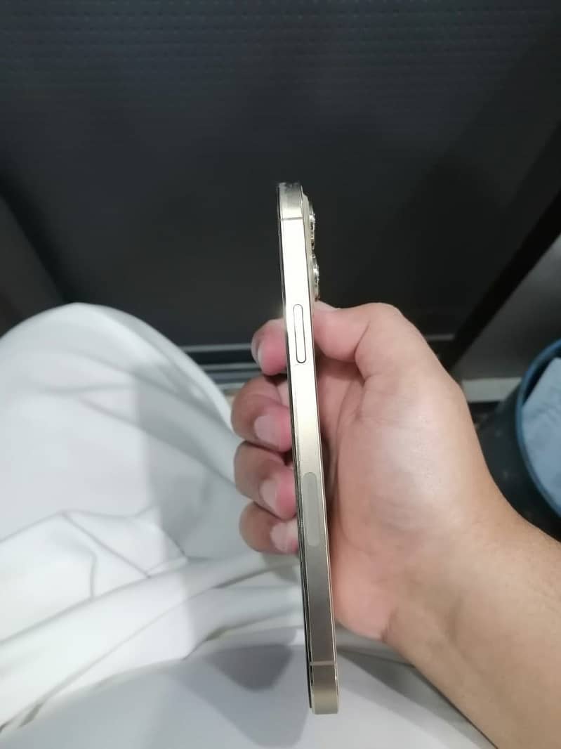 Apple iPhone 13 Pro Max 4