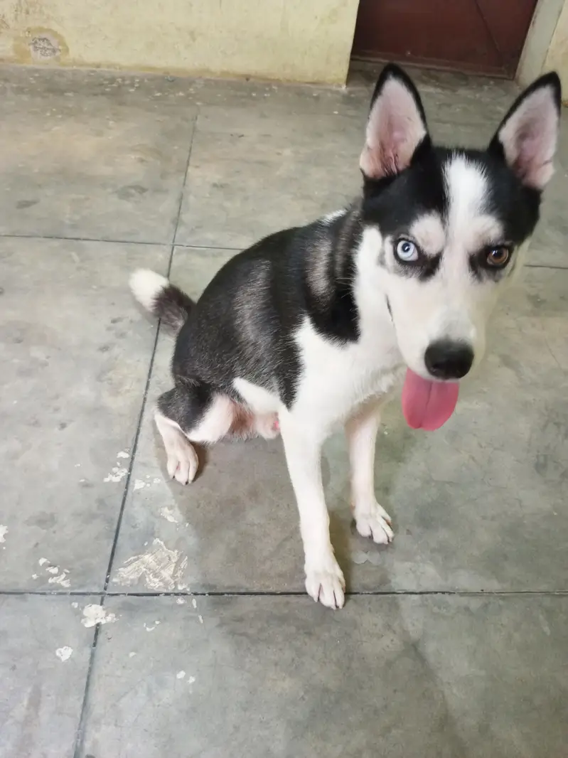 urgent sale — photo 2