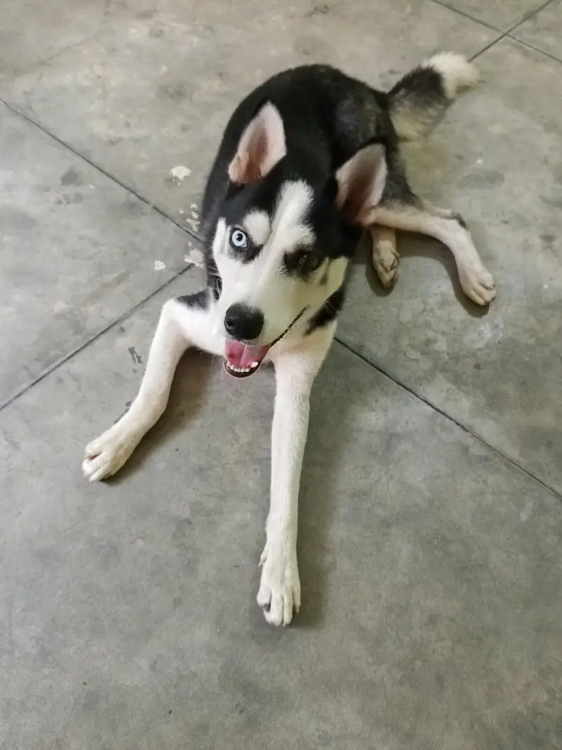 urgent sale — photo 3