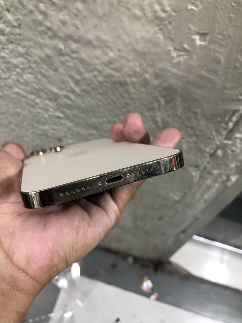 Apple iPhone 12 Pro Max 1