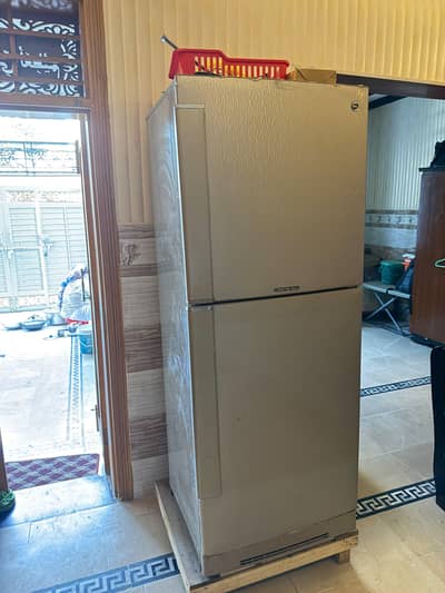 PEL Desire Infinite Double Door Refrigerator
