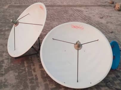 Network dish