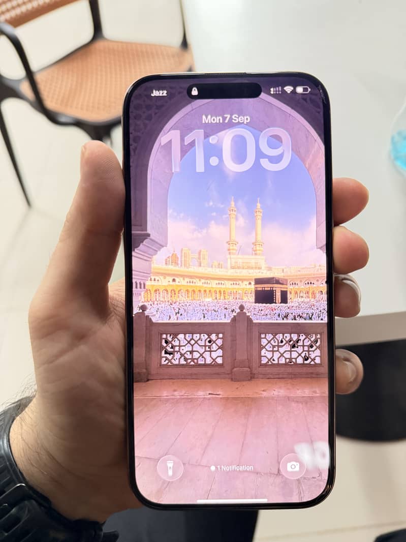 Apple iPhone 16 Pro Max 2