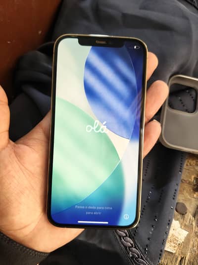 Apple iPhone 12 Pro