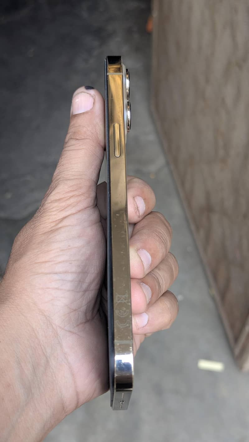 Apple iPhone 13 Pro Max 1