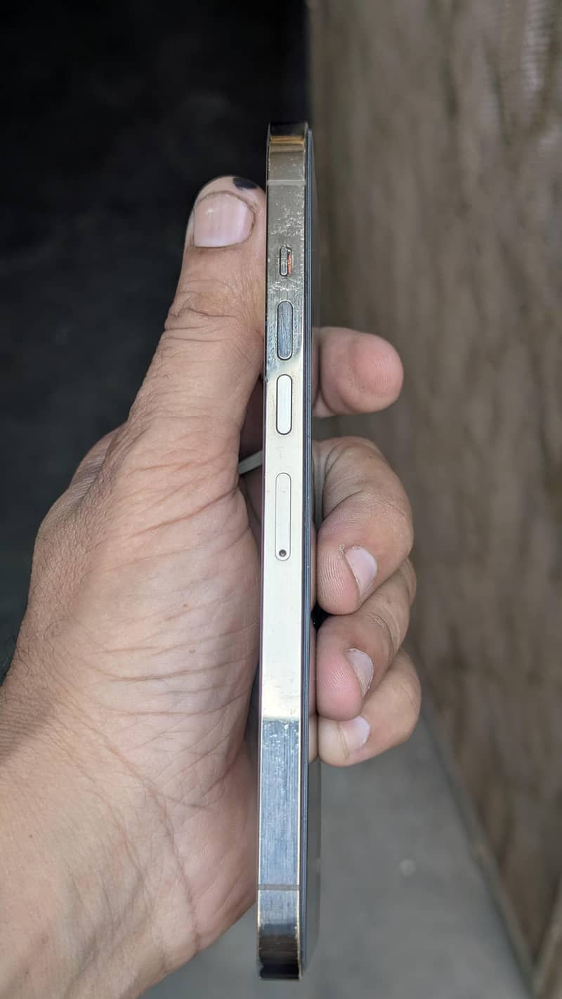 Apple iPhone 13 Pro Max 4