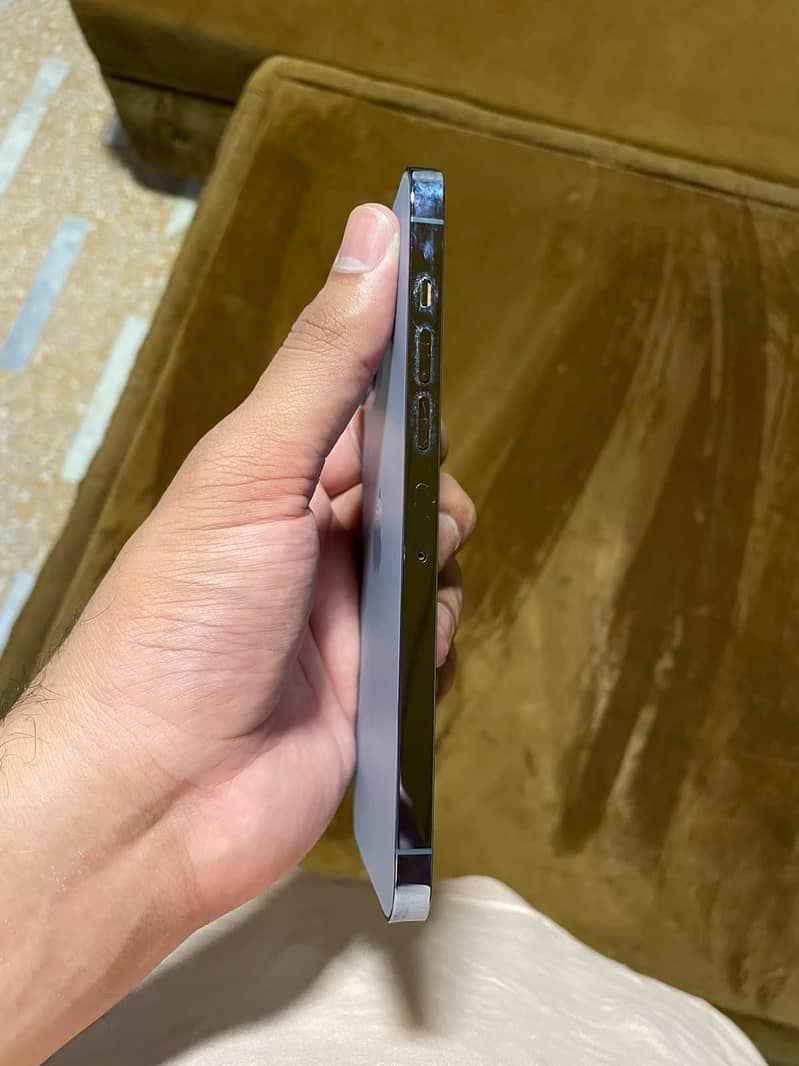 Apple iPhone 13 Pro Max 1