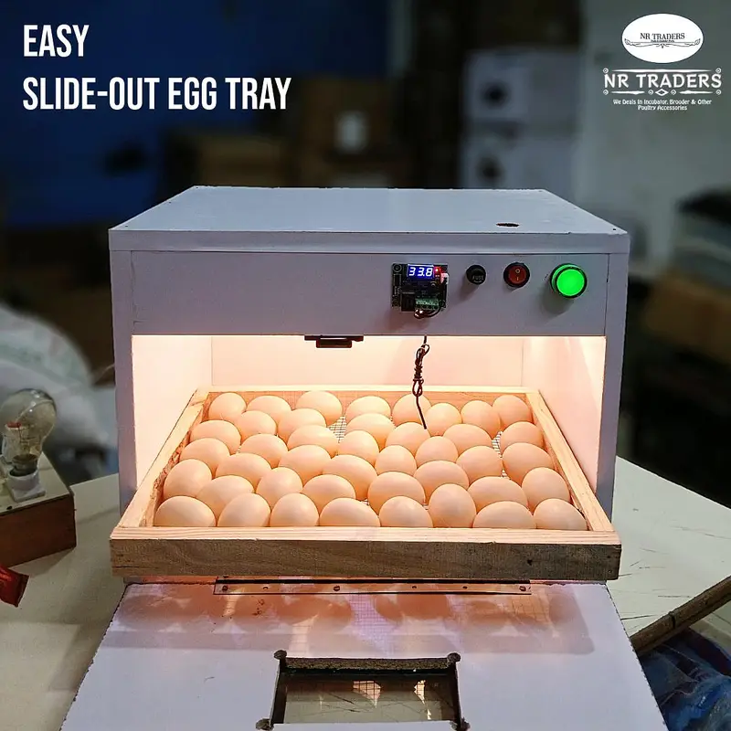 40-50 Eggs Incubator Manual Incubaror NR Traders Incubators — photo 2