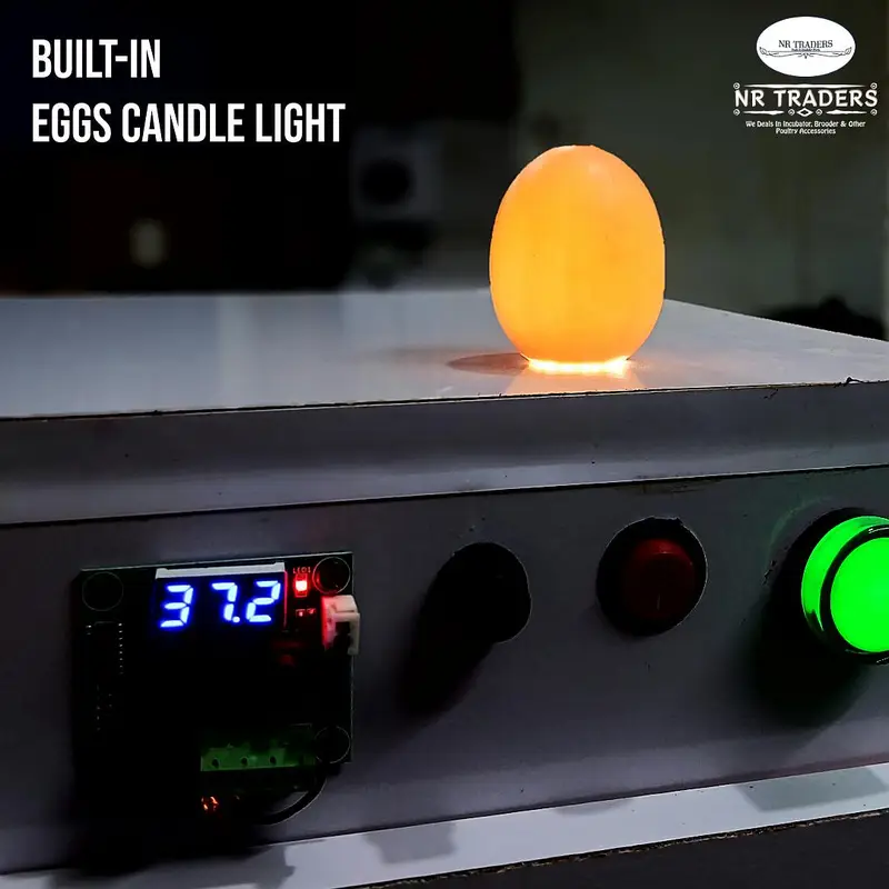 40-50 Eggs Incubator Manual Incubaror NR Traders Incubators — photo 3