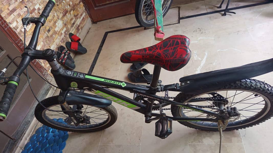 Imported Cycle 1