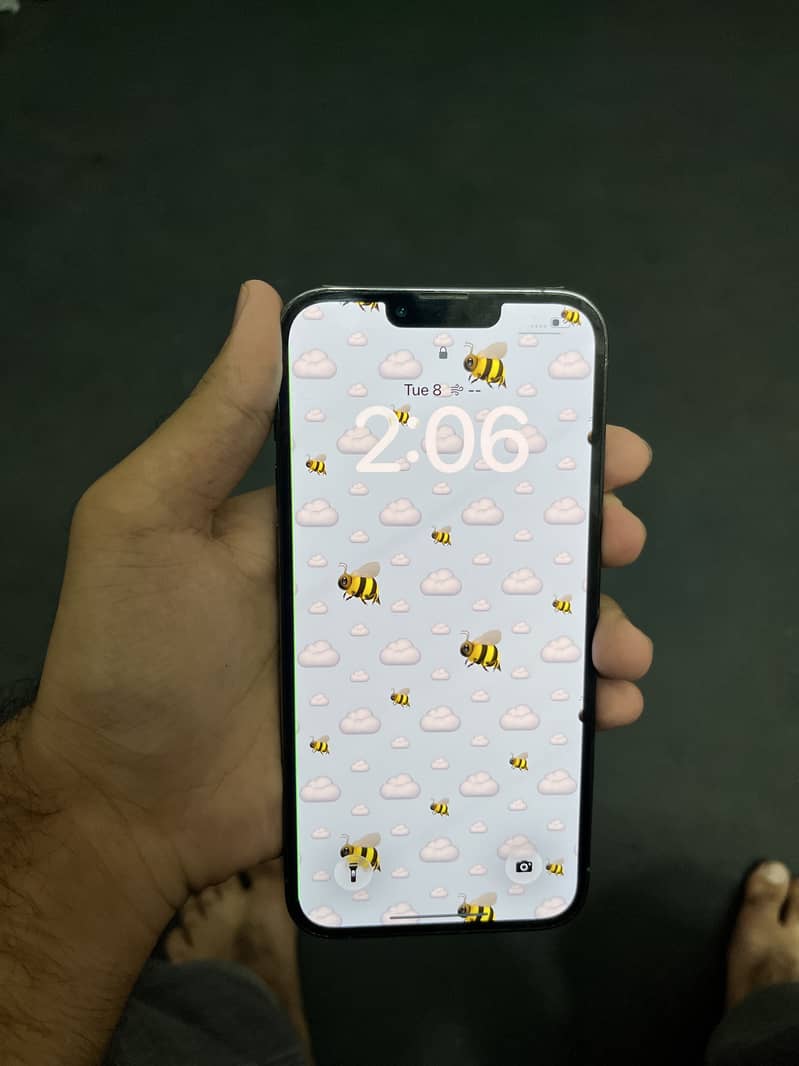 Apple iPhone 13 Pro Max 4