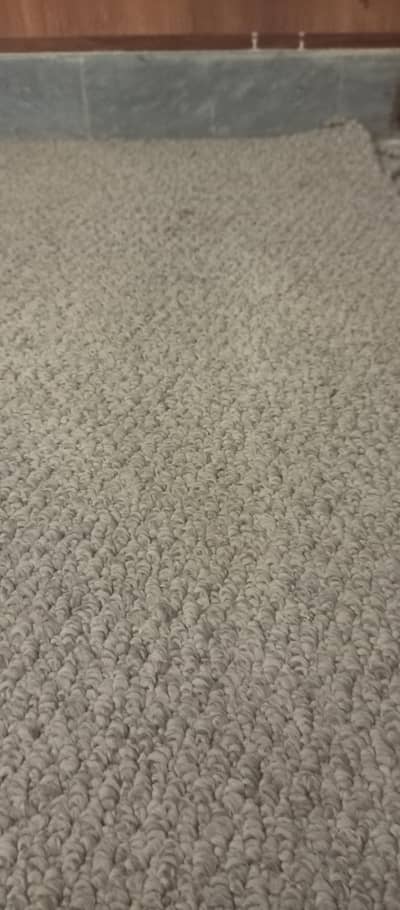 carpet