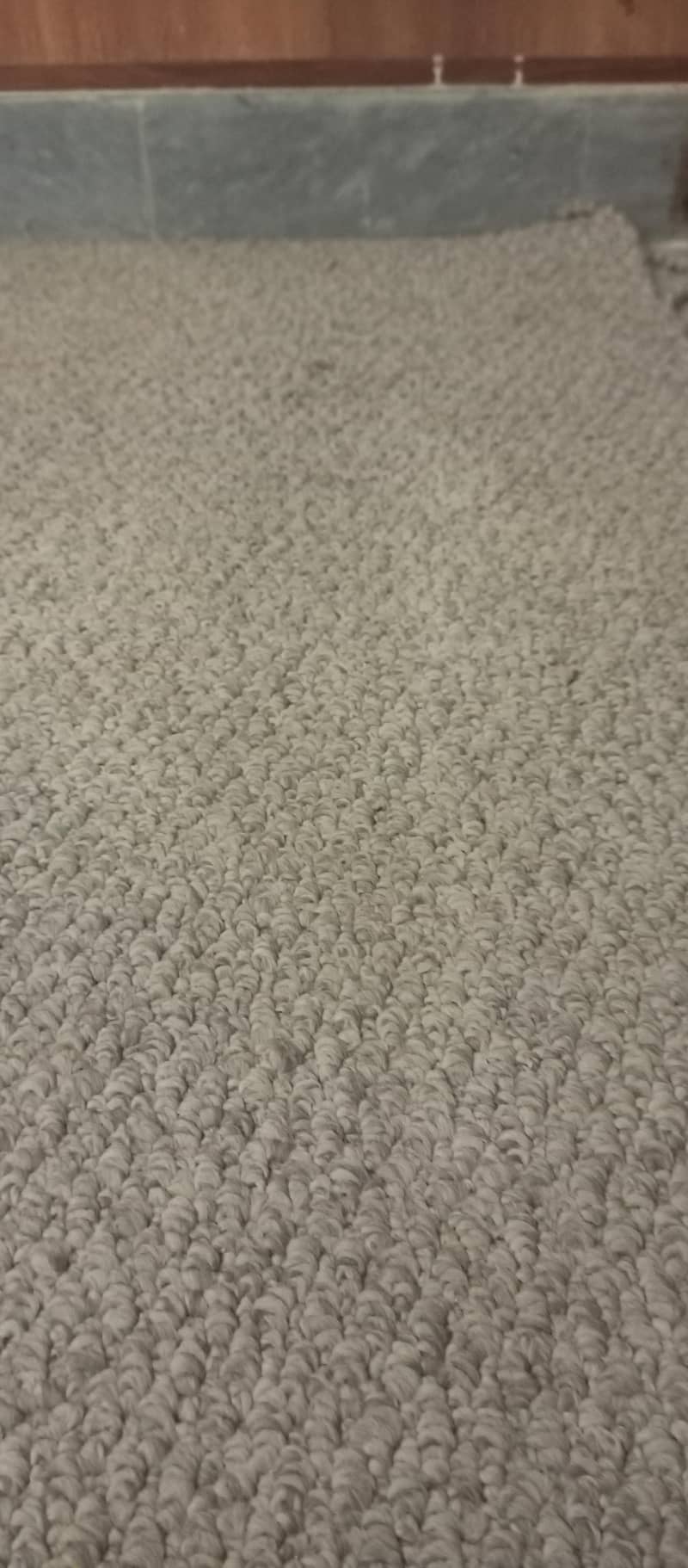 carpet 0