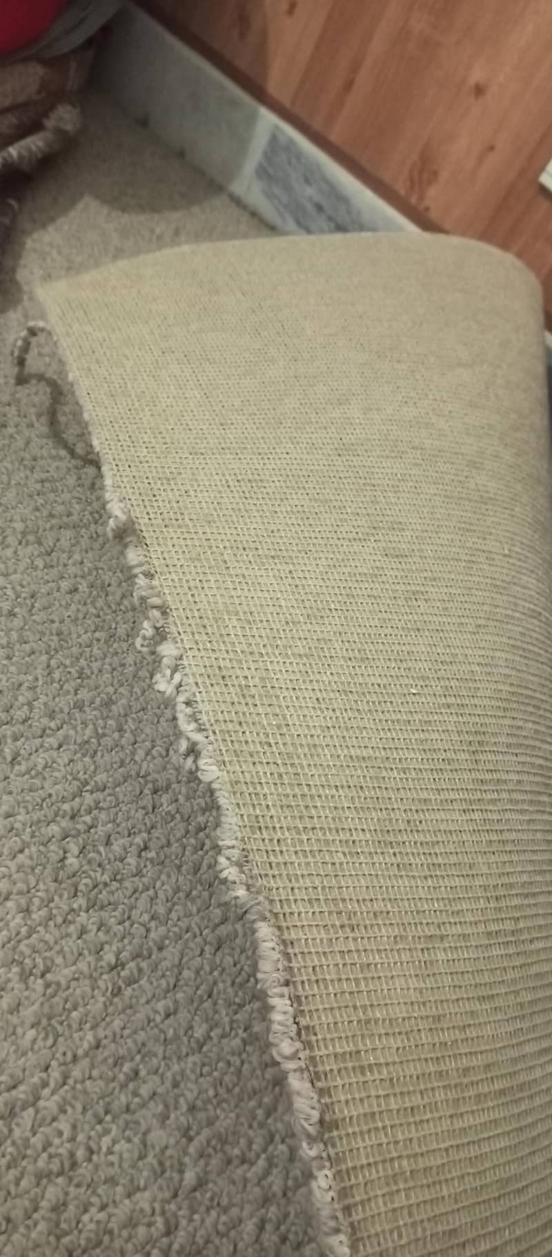 carpet 1