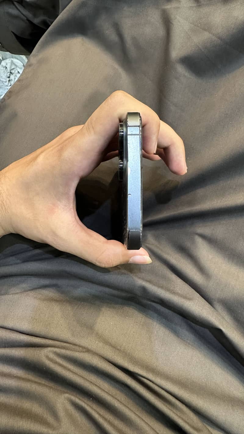 Apple iPhone 13 Pro Max 2