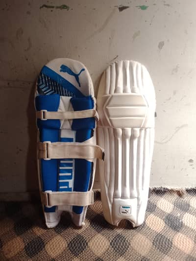 hard ball cricket kit ( bat not included )