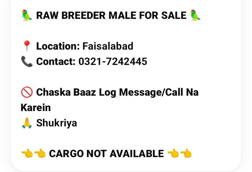 Raw Breeder Male — photo 3