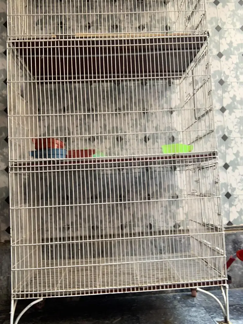 4 porsions birds cage — photo 2