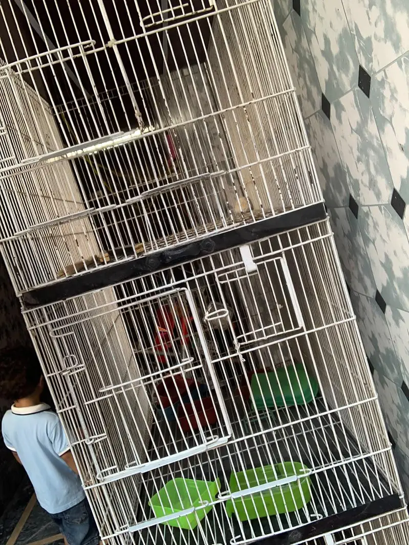4 porsions birds cage — photo 3