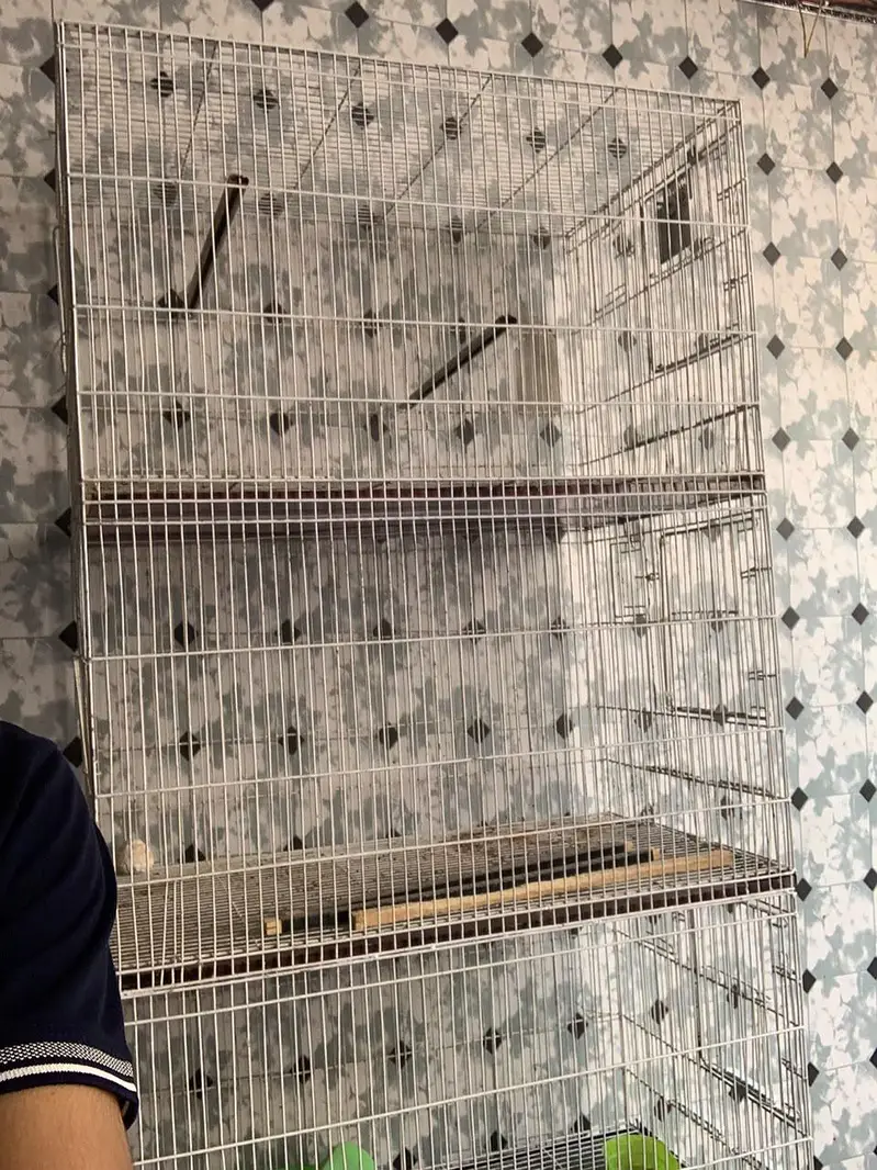 4 porsions birds cage — photo 4
