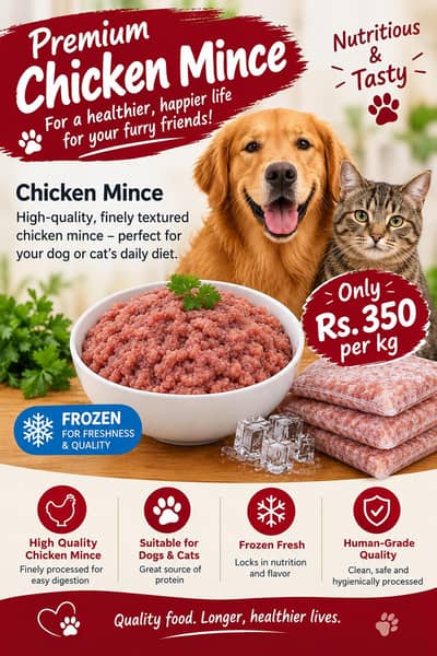 Frozen chicken mince for cat and dog food