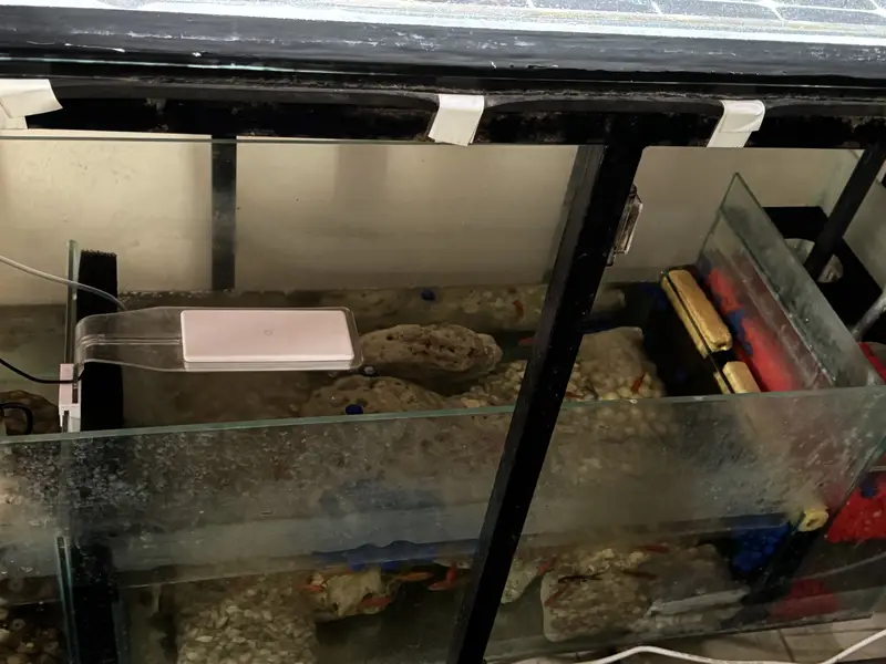 5 foot tank w sump — photo 3