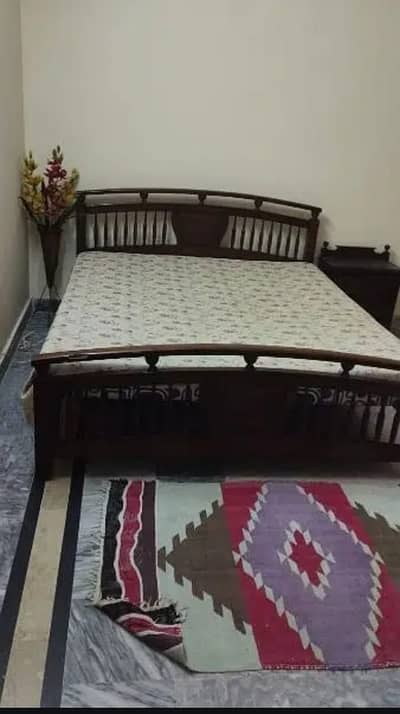 i. 8 Room For Rent only for single Female