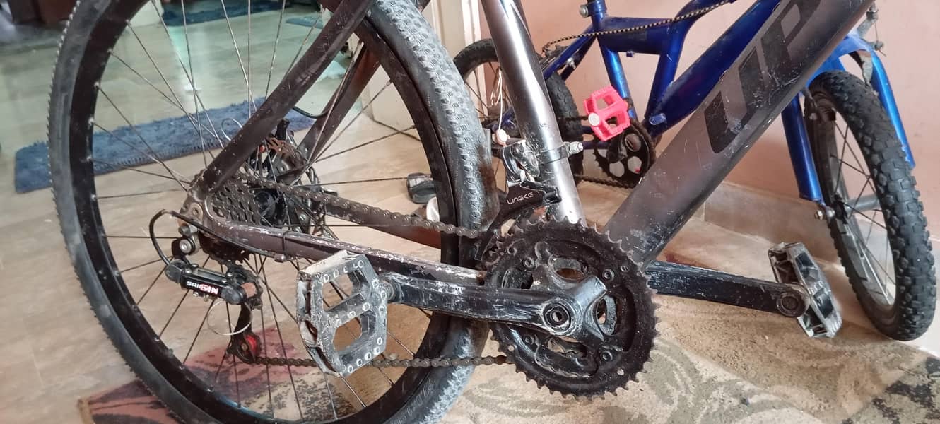 imported cycle 6