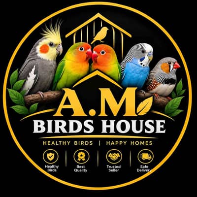 A.M bird house (official)