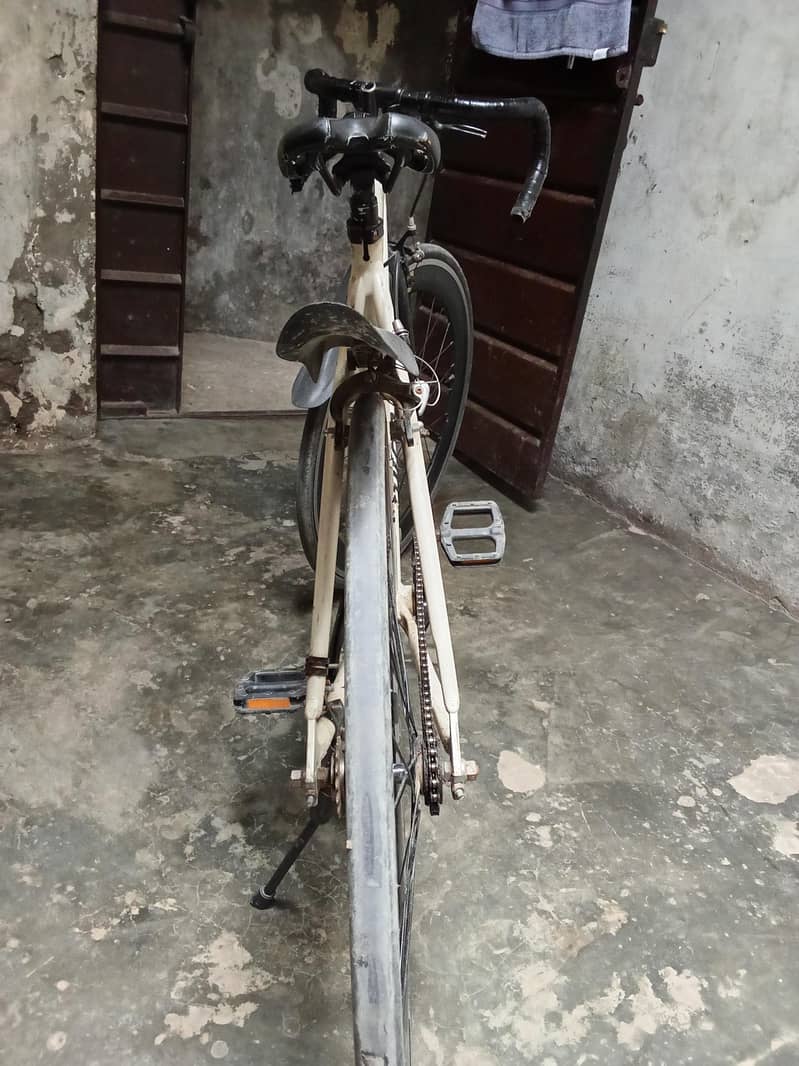 geniun cycle 2